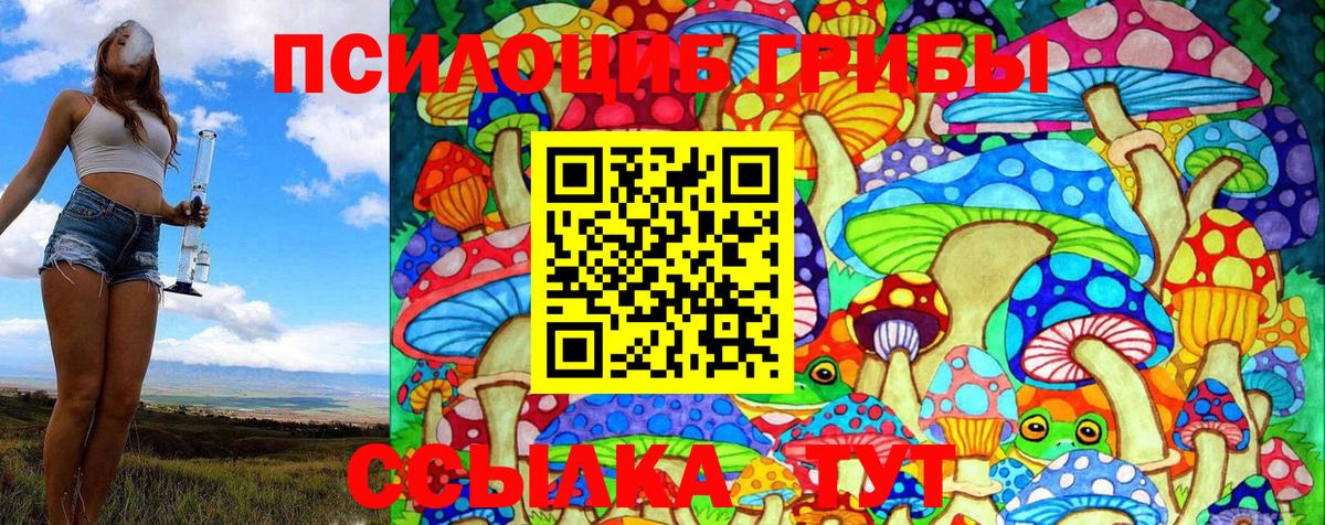 Галлюциногенные грибы Psilocybe Ярцево