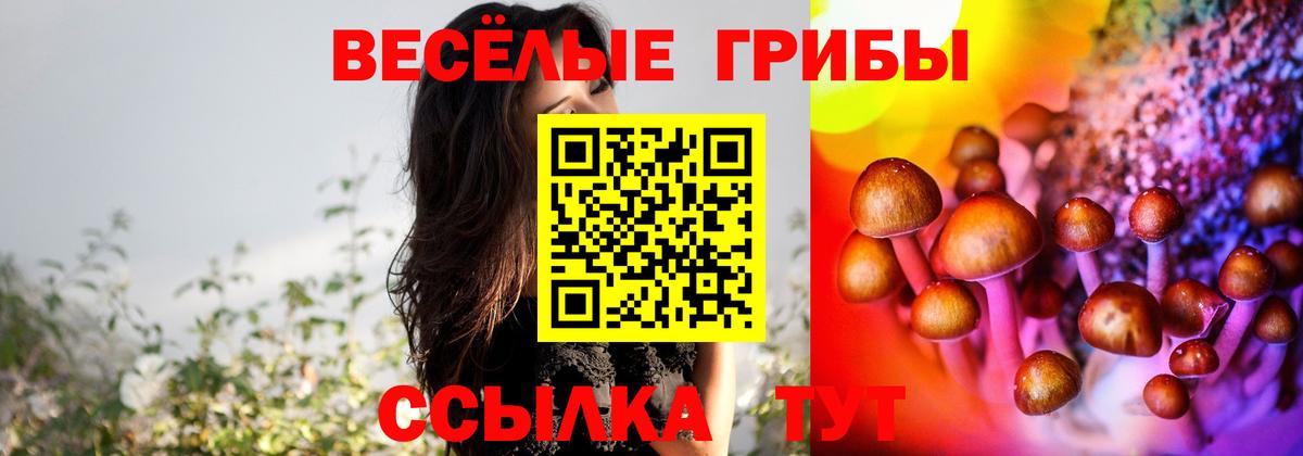 Галлюциногенные грибы GOLDEN TEACHER  Вход с VPN  Псилоцибиновые грибы Cubensis  Ярцево 